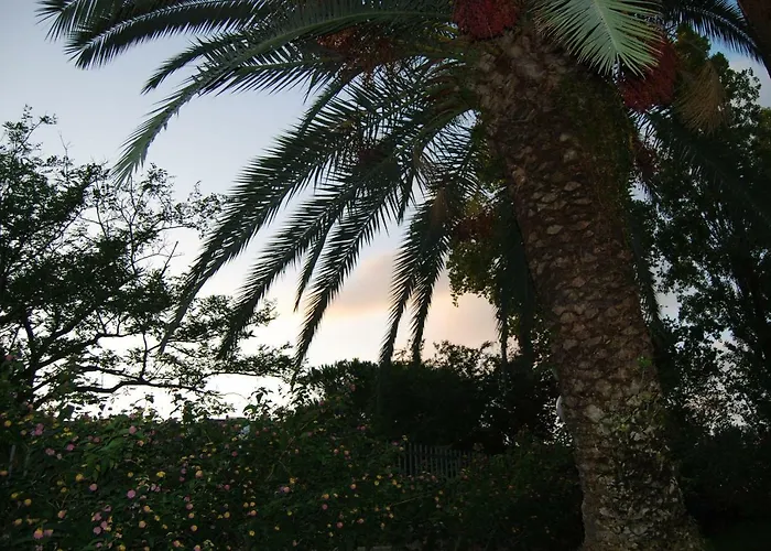 Roma EurBed and Breakfast